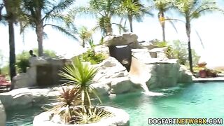 Hot interracial action with Aliya Brynn and 21 black guys