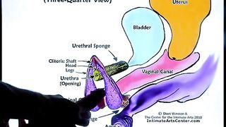 The second part of the squirting tutorial by Mr PussyLicking