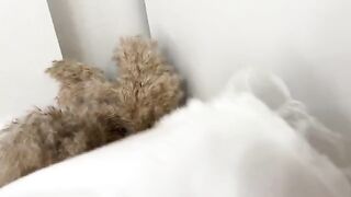 Sniffing panties and getting fucked by a curvy woman in a wet pussy, with a focus on real orgasms