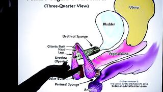 How to Squirt? The ultimate tutorial by Mr. PussyLicking, explaining it all in under 2 minutes!