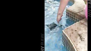 A blonde with blue eyes has her ass gapped by a guy in this hot vid