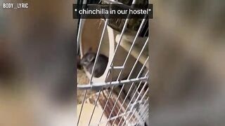 Sex in a capsule hostel and the continuation of their journey