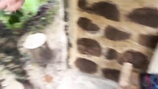 A couple got caught fucking in the jungle, what a kinky shit!