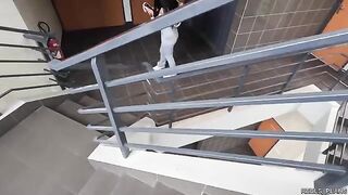 Two fake agents fucked the Chilean model in an elevator and toilet