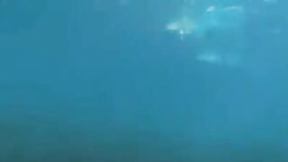 Underwater sex with aqualungs – the best porn you will see this year