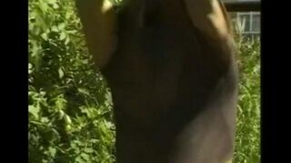 A guy caresses his dick in the hayloft, imitating sex with a girl