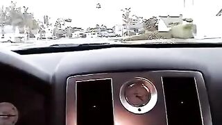 Nikki made a blowjob right in the car, it was a very hot day