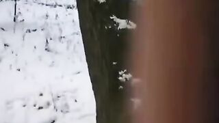 The guy wants to freeze the dick and pussy of the girl in time