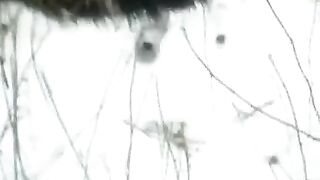 Girl was sucking a cock on the street and almost got caught