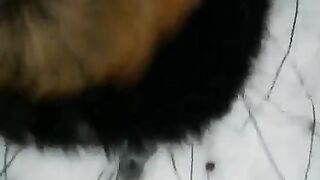 Girl was sucking a cock on the street and almost got caught