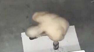 A naked man in the shower, spied on by a camera