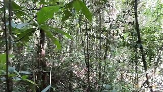 A breath of fresh air and her warm lips on my dick in POV