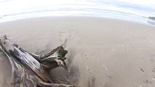 The beach is always humid – from the water and because of it